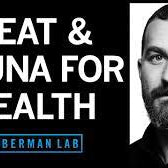 Andrew Huberman | The Benefits of Sauna Use and Deliberate Heat Exposure Protocols - Secret Saunas