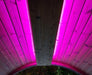 SaunaLife Emood Color LED Lighting for SaunaLife ERGO Series Barrel Saunas - Secret Saunas